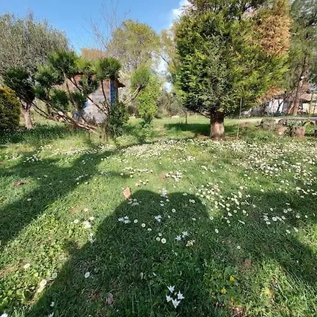 Tο του μύλου των ξωτικών Appartamento