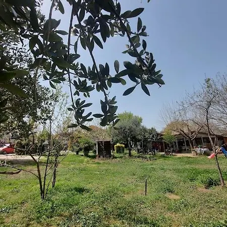 Tο ξυλόσπιτο του μύλου των ξωτικών Apartment *